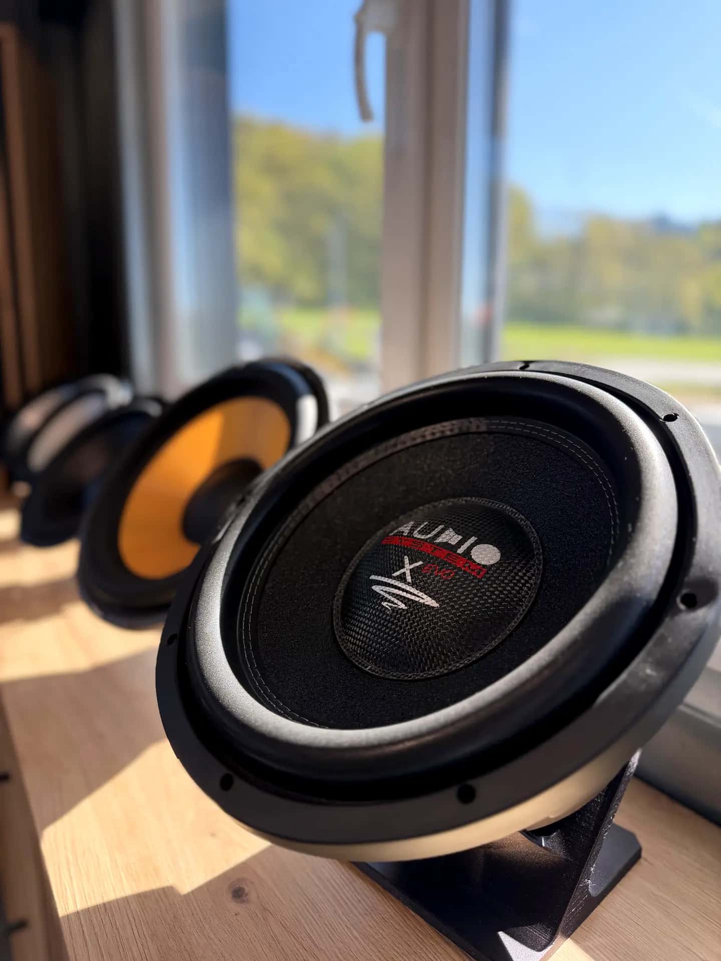 AUDIO SYSTEM X EVO Subwoofer im ARS:MOOSIX Showroom
